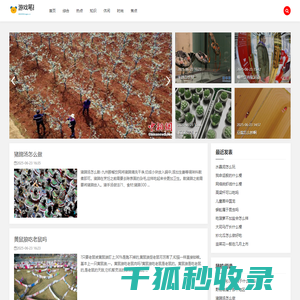 游戏笔墨网